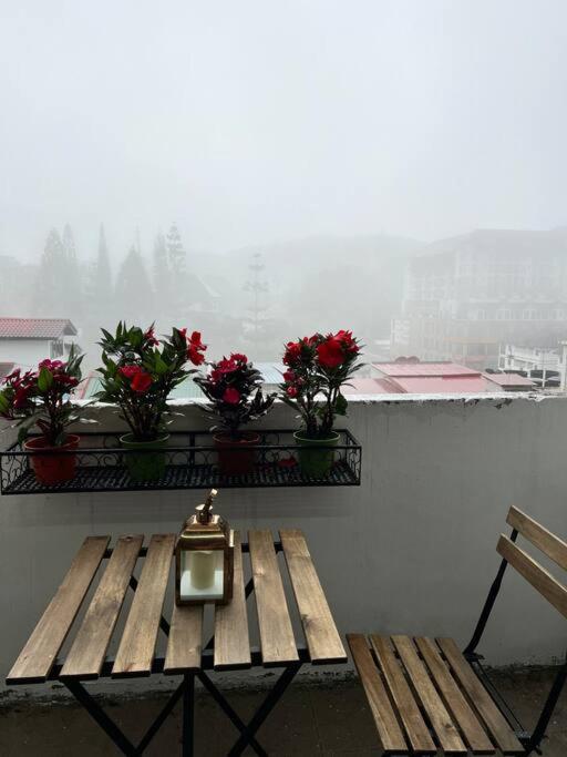 Lily Maison Appartement Tanah Rata Buitenkant foto